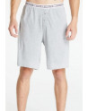 Tommy Hilfiger pánské kraťasy UM0UM02423 P61