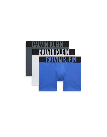 Calvin Klein boxerky NB3609A ZD9 3pack